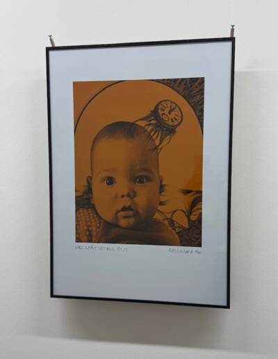 Bild